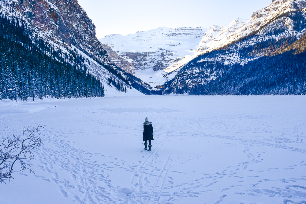 frozen lake louise 