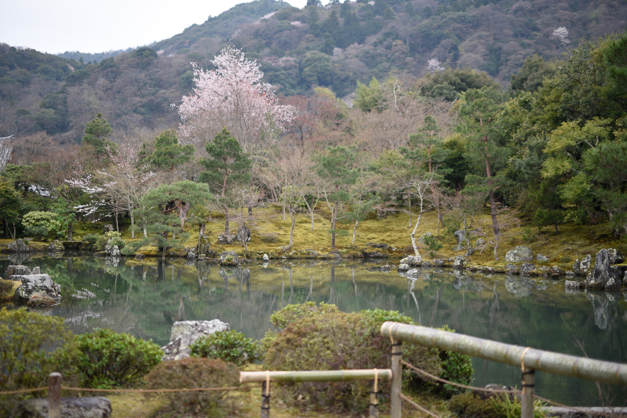 Tenryuji temple outside of Kyoto, Japan.