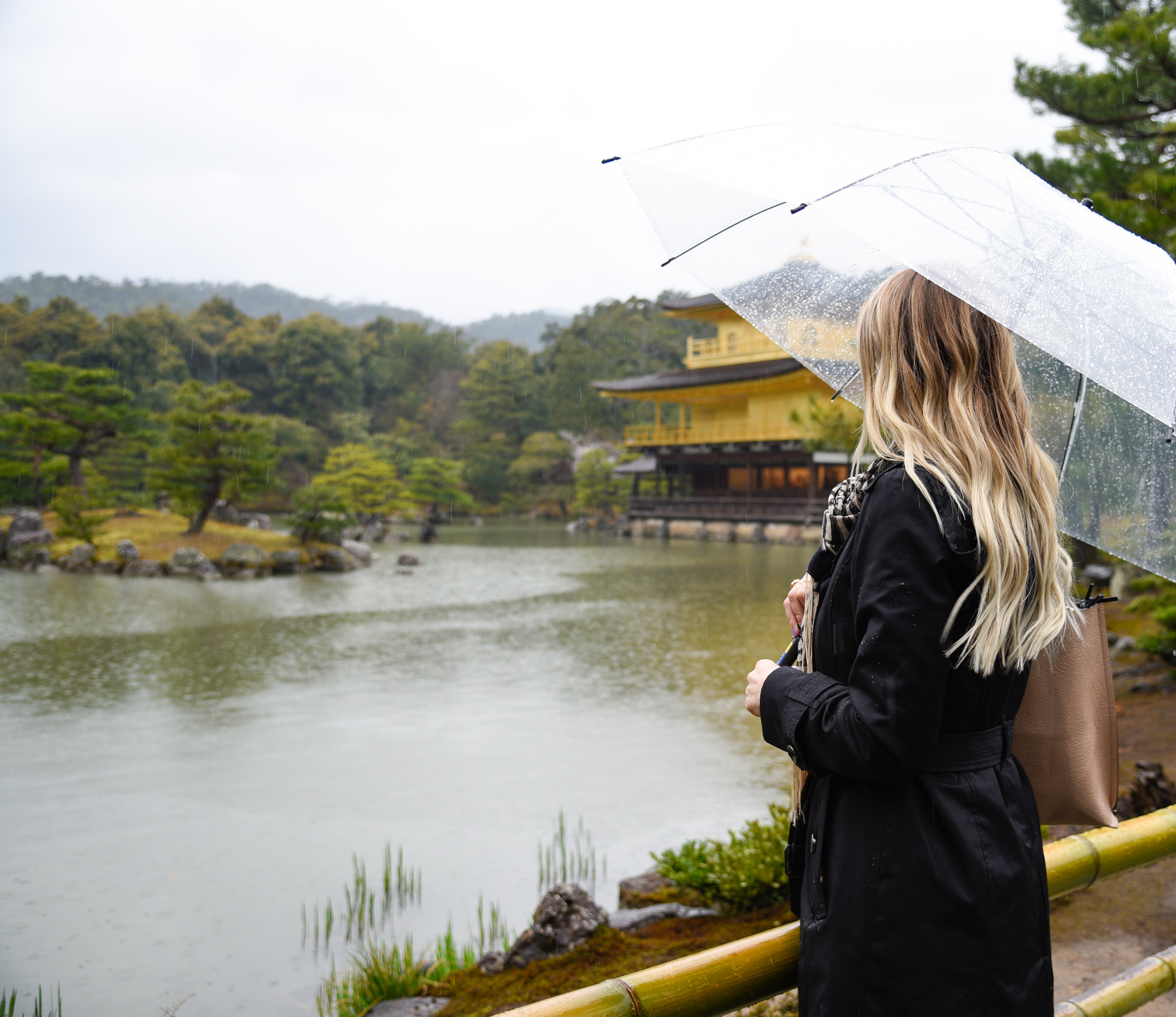 Clear umbrellas for a rainy day at the Golden Temple in Kyoto
