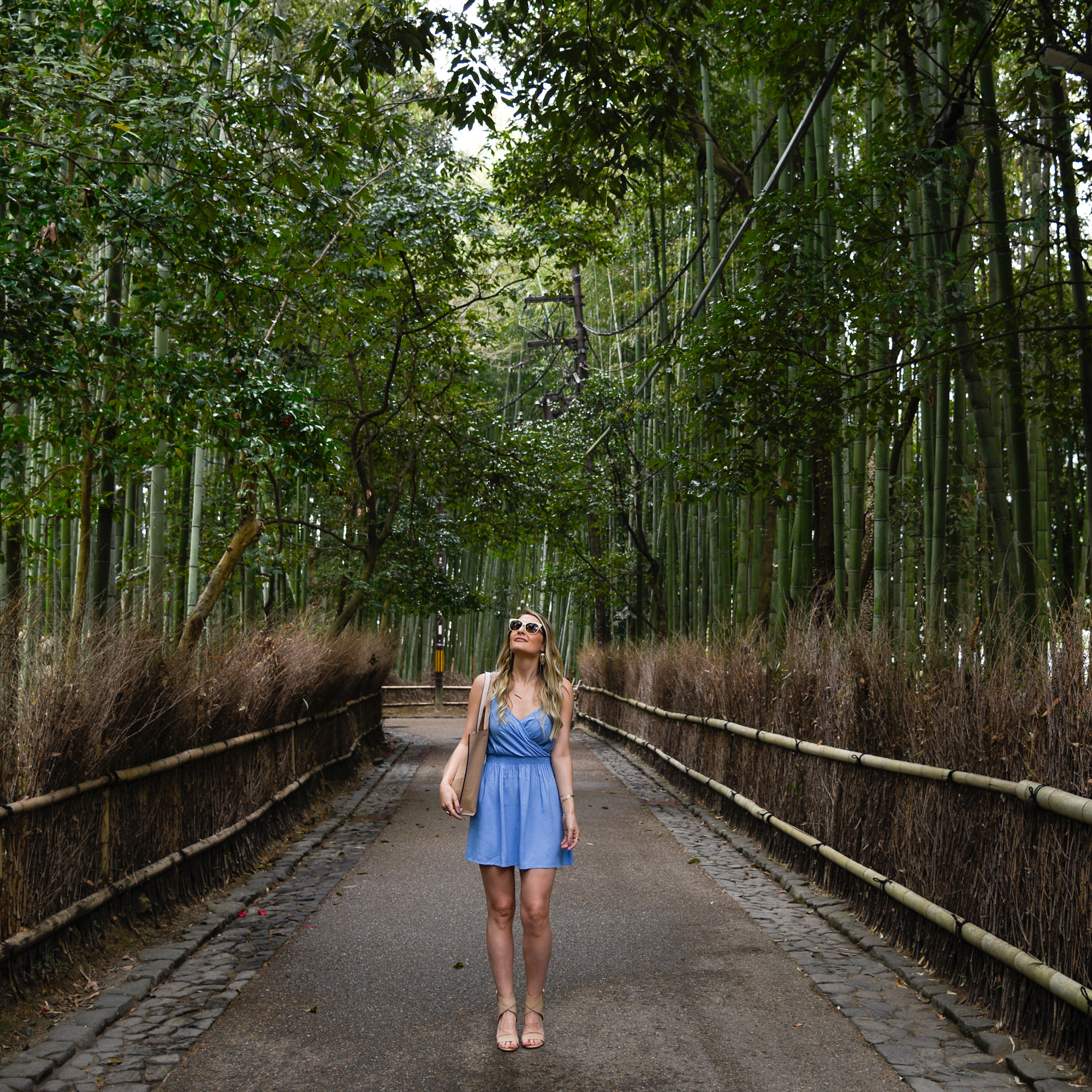 Looking up at the Arashiyama Bamboo Forest in a blue spring dress. 