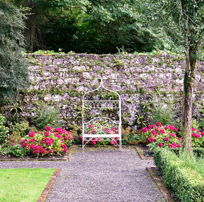 Cute garden bench with bougainvillea in Ireland. 