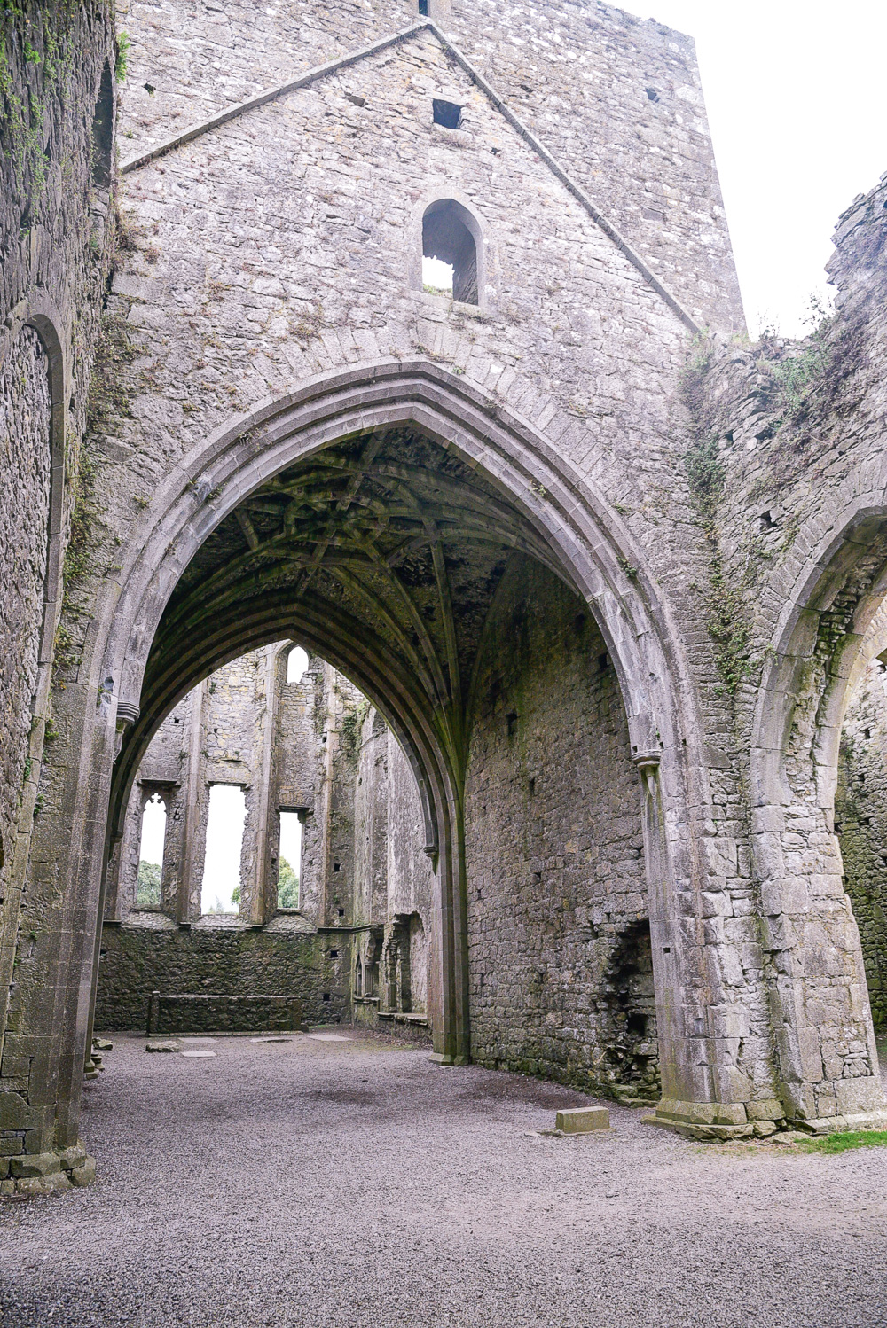 Historic ruins in a deserted Irish abbey outside of Kilkenny. 