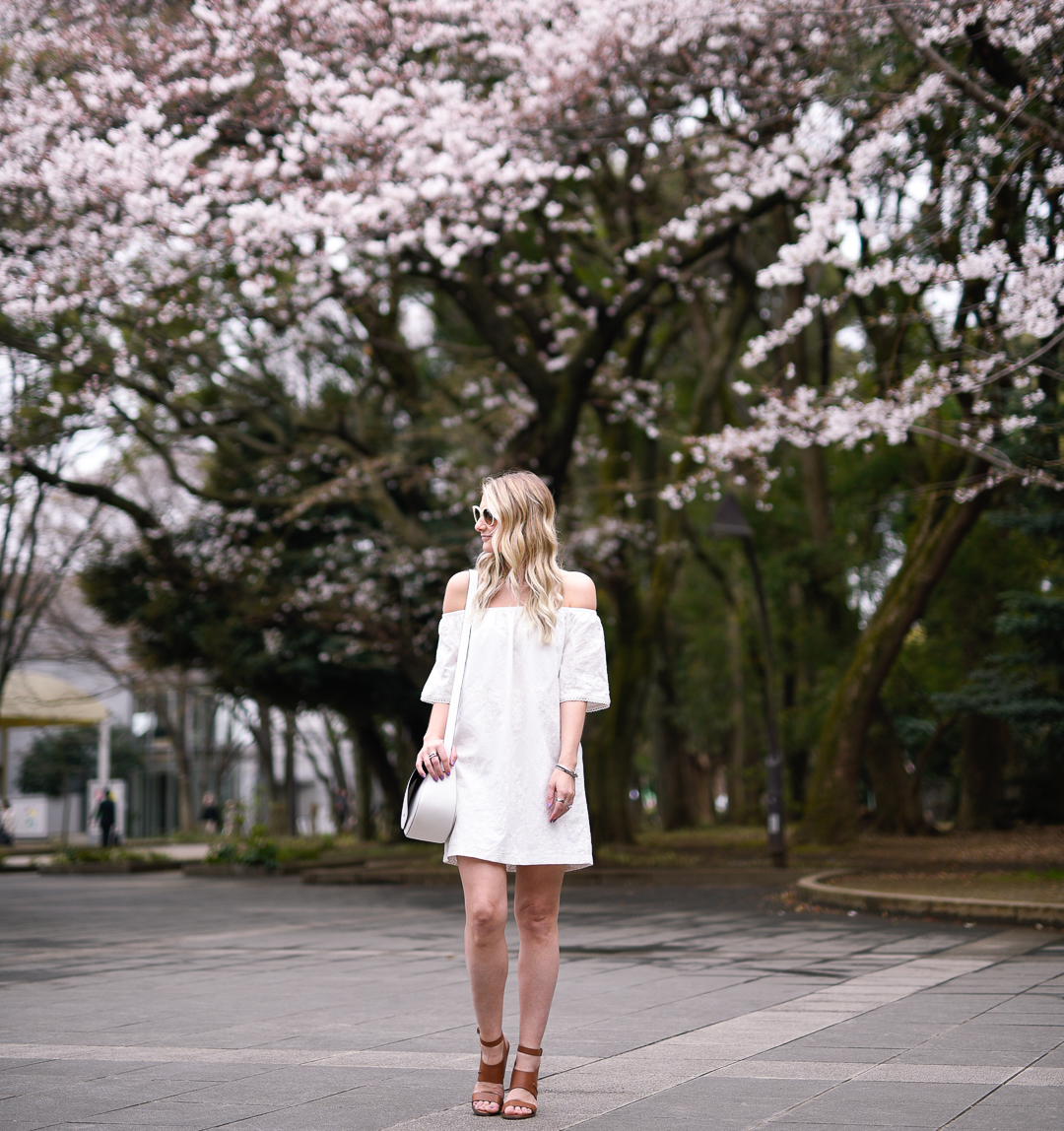 Cherry Blossoms in Tokyo Japan