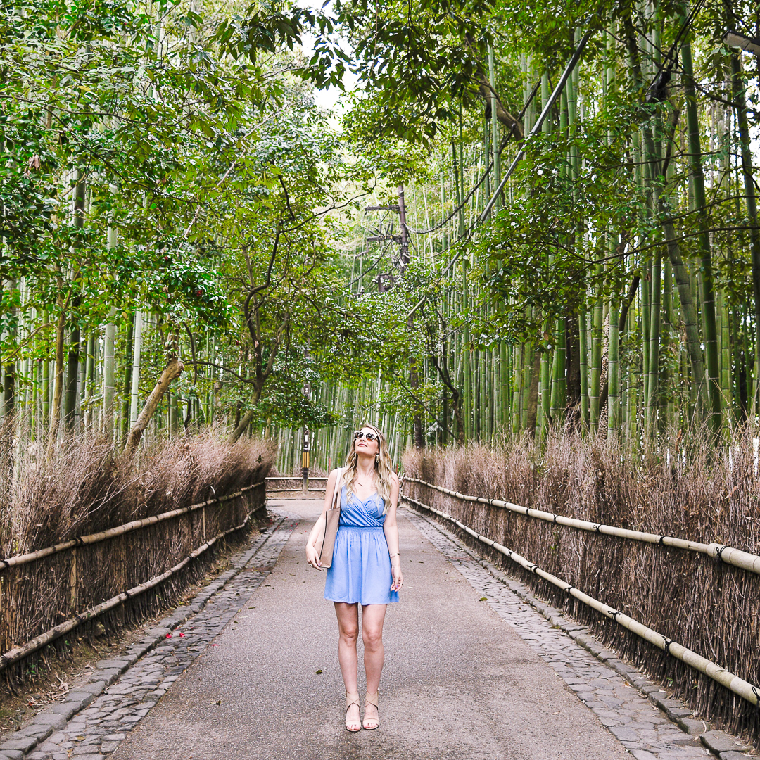 Arashiyama Bamboo Grove, Kyoto Japan 