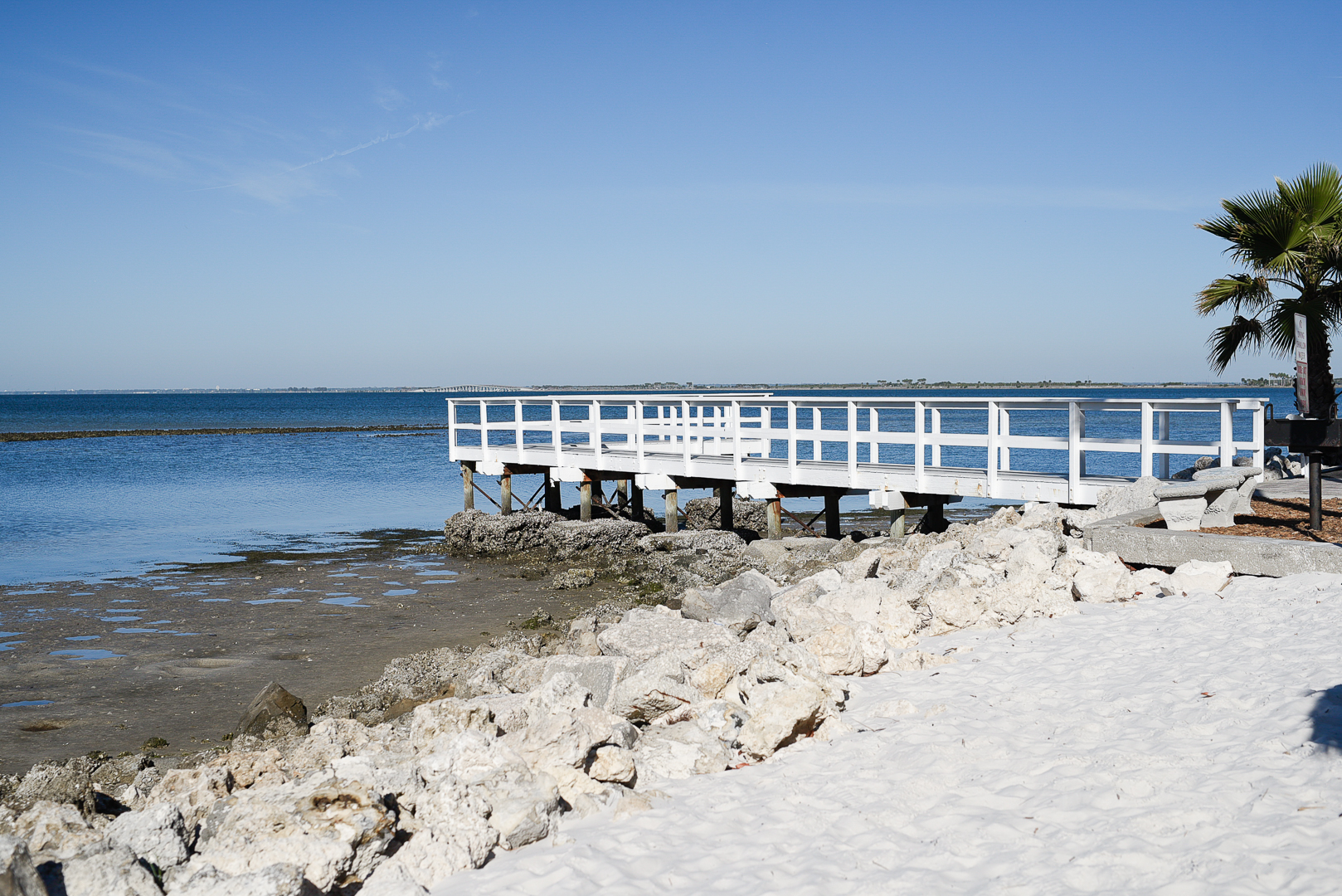 Tampa bay pier