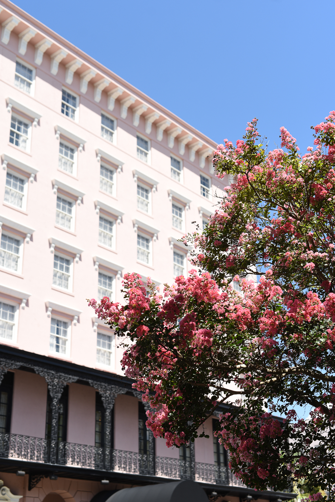 pink hotel in charleston with beautiful floral trees