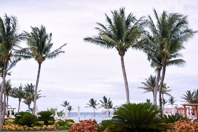 infinity pool at grand velas resort 