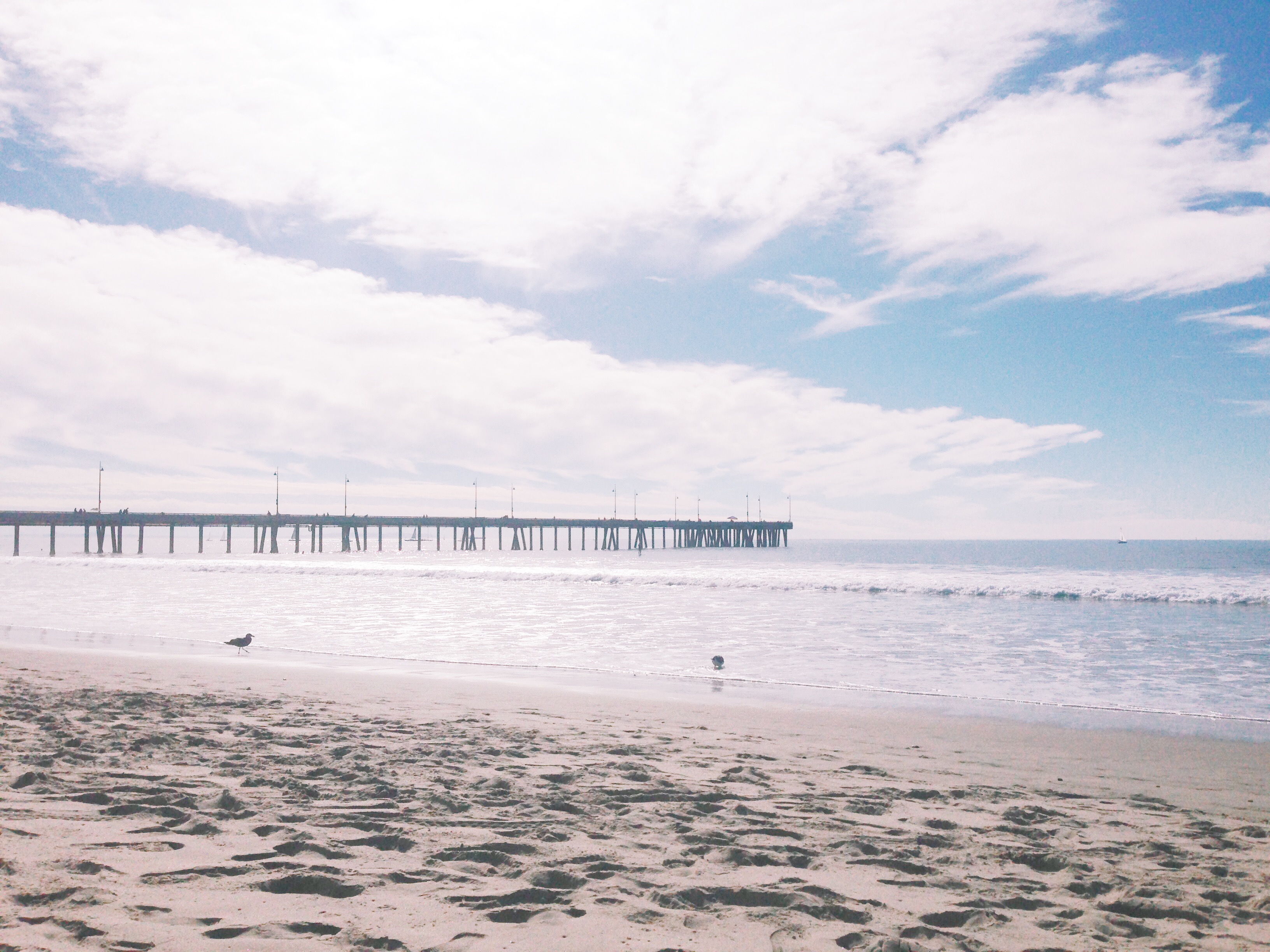 venice beach in los angeles, caifornia