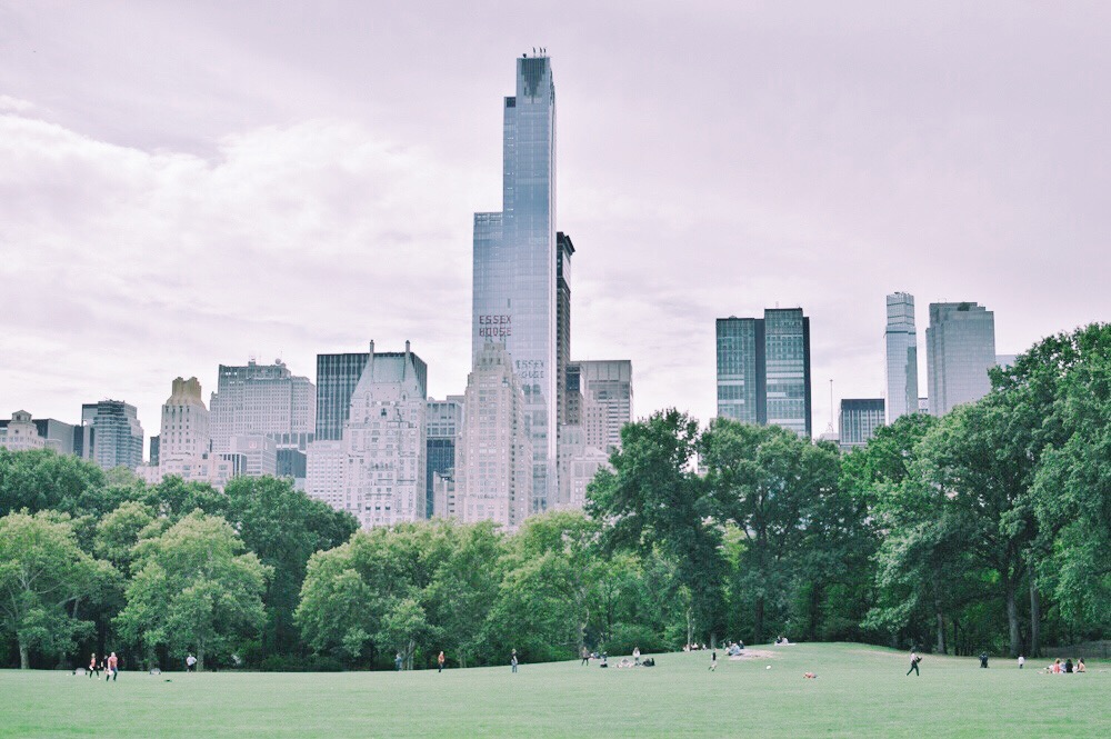 view of the new york skyline