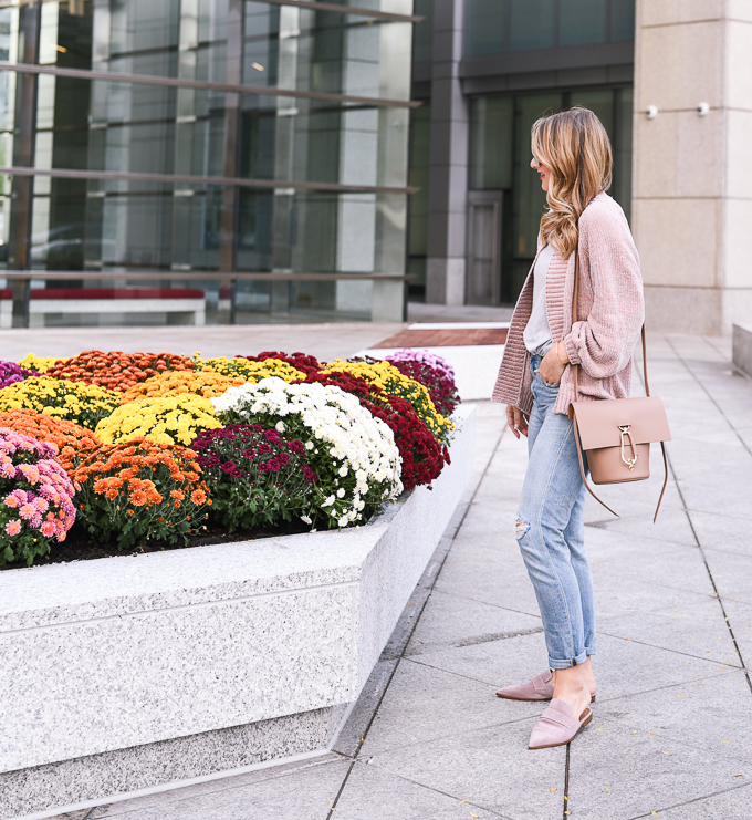 best boyfriend jeans for girls with curves