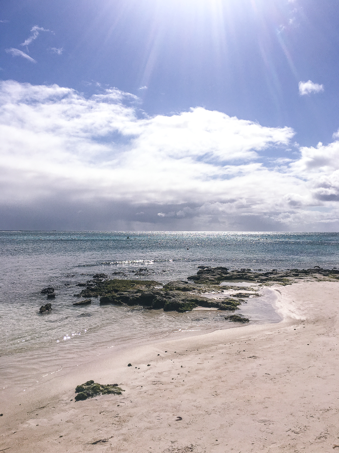 swimming with turtles in akumal mexico - Secrets Akumal Riviera Maya -by popular Chicago travel blogger Visions of Vogue