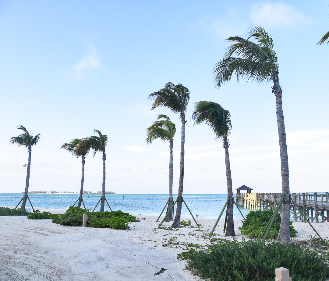 ocean view from a food truck at baha mar - baha mar resort review in the bahamas by popular Chicago travel blogger Visions of Vogue