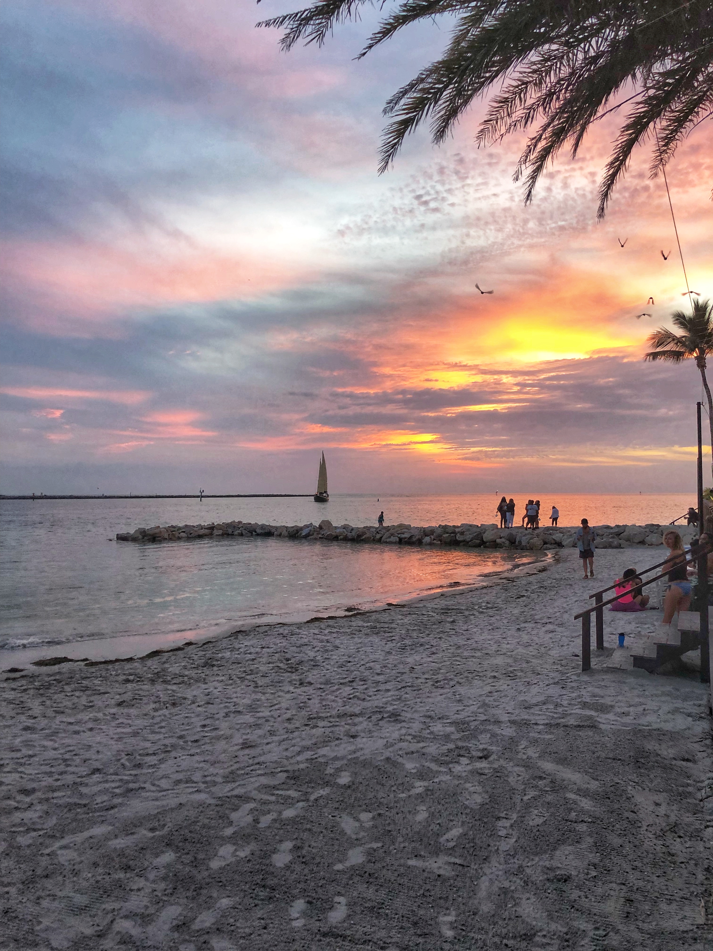 sheppard's beach night club in clearwater beach florida