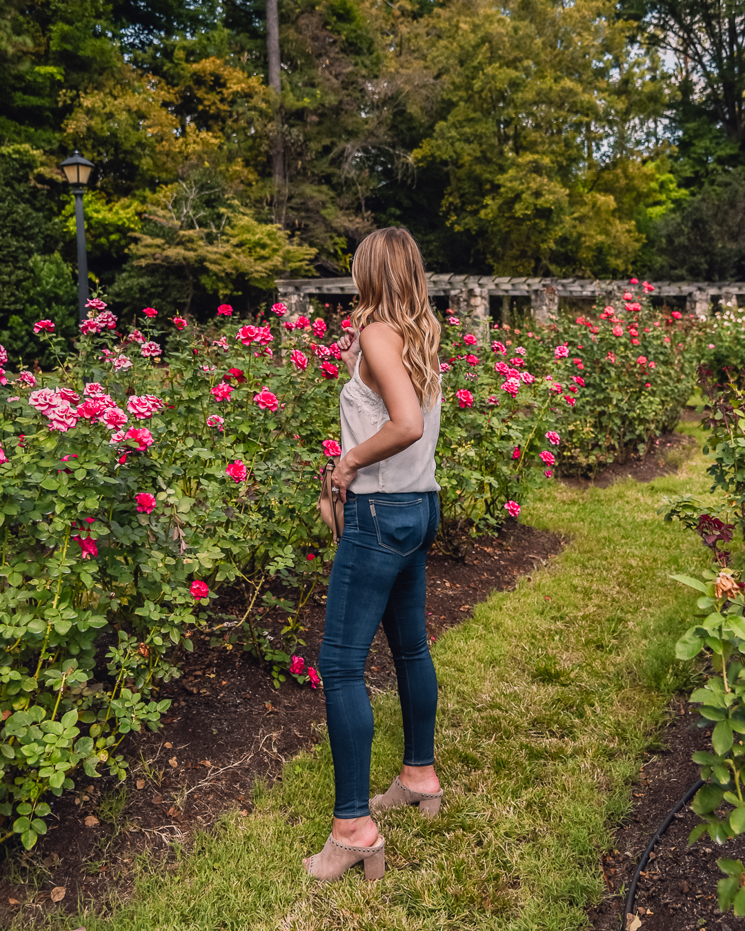 raleigh rose garden 