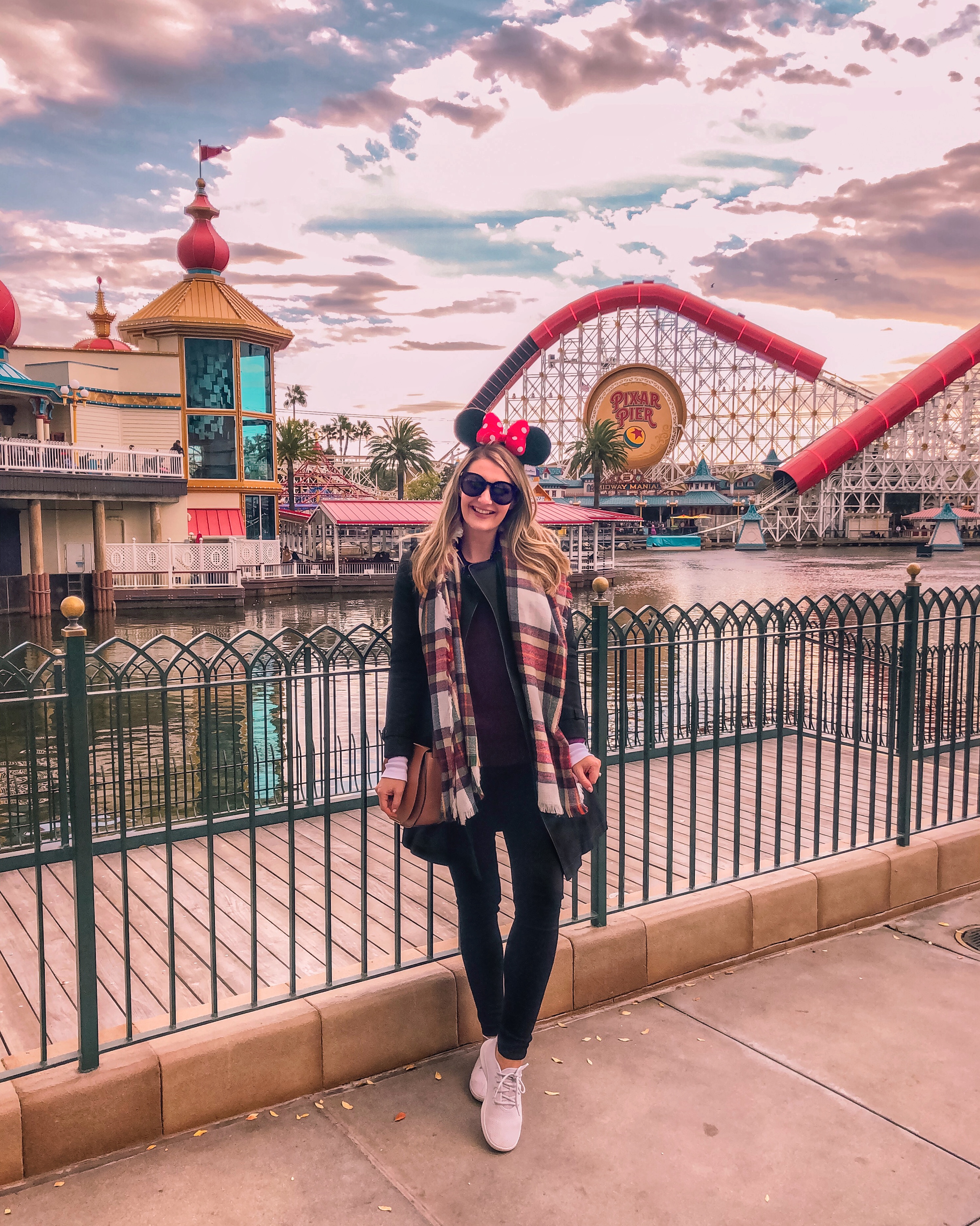 what to do in anaheim california: go to disneyland