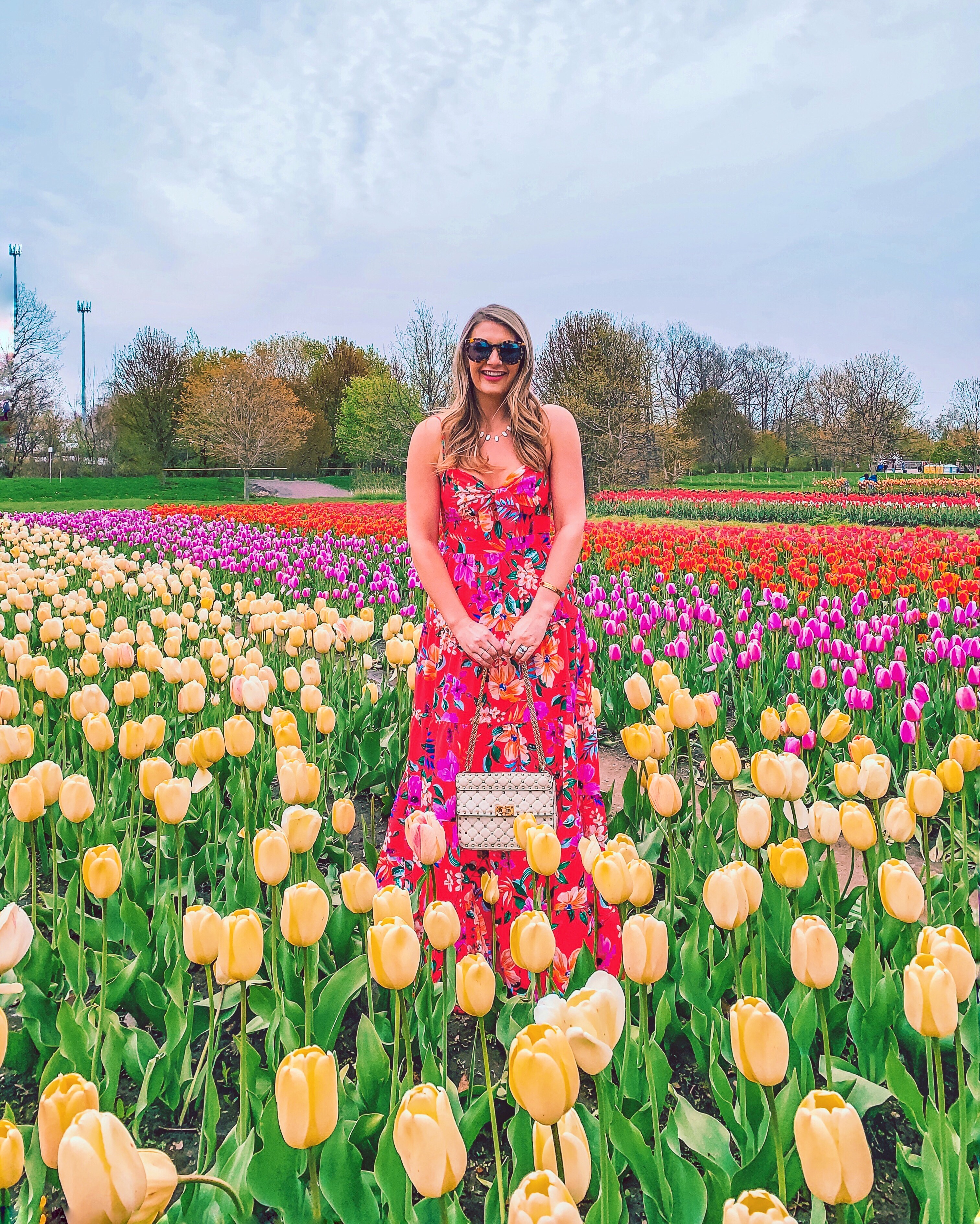 tulip festival in skagit seattle washington