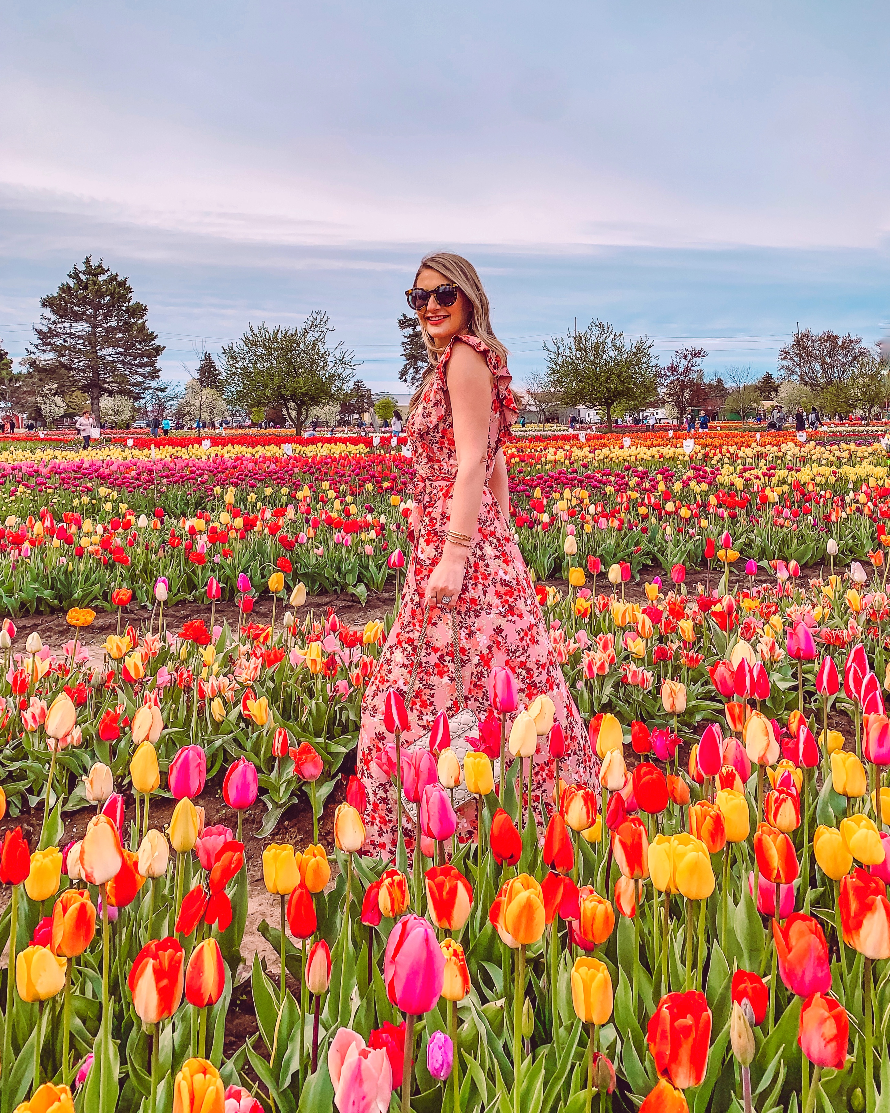 flower fields in the united states