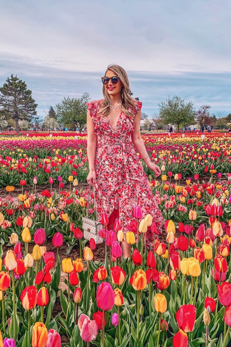 holland michigan tulip festival
