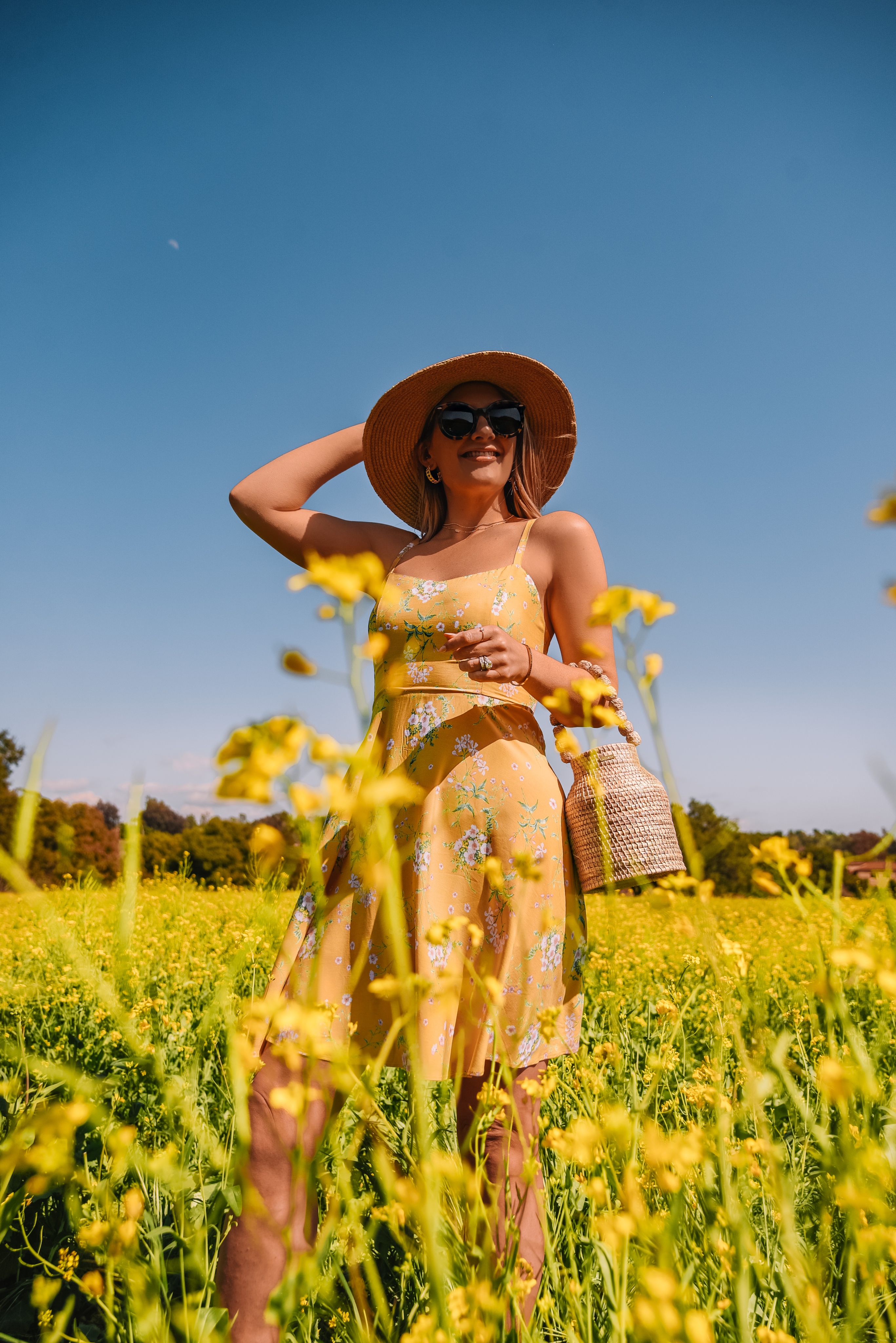 california superbloom