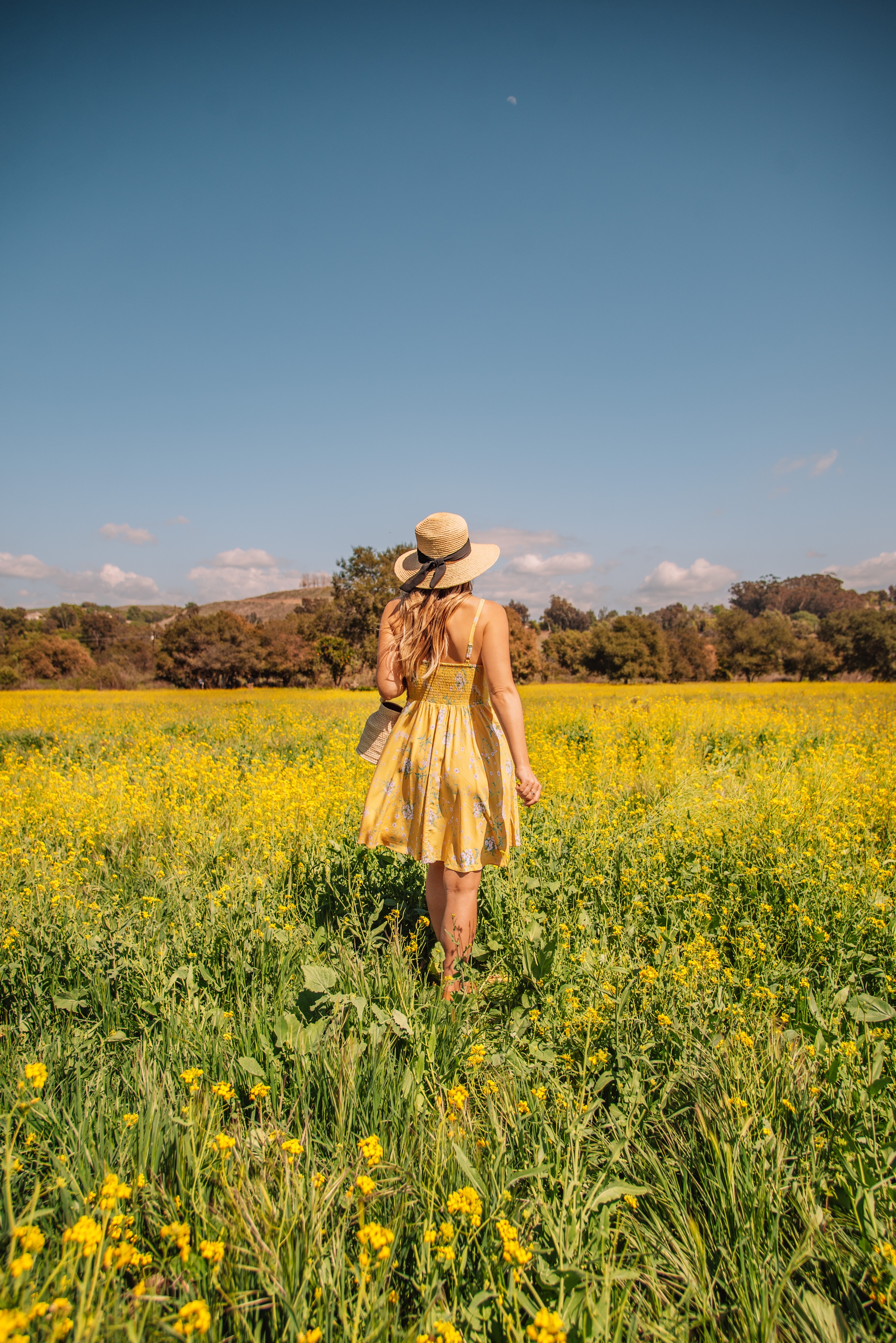 spring outfit ideas for everyday fashion