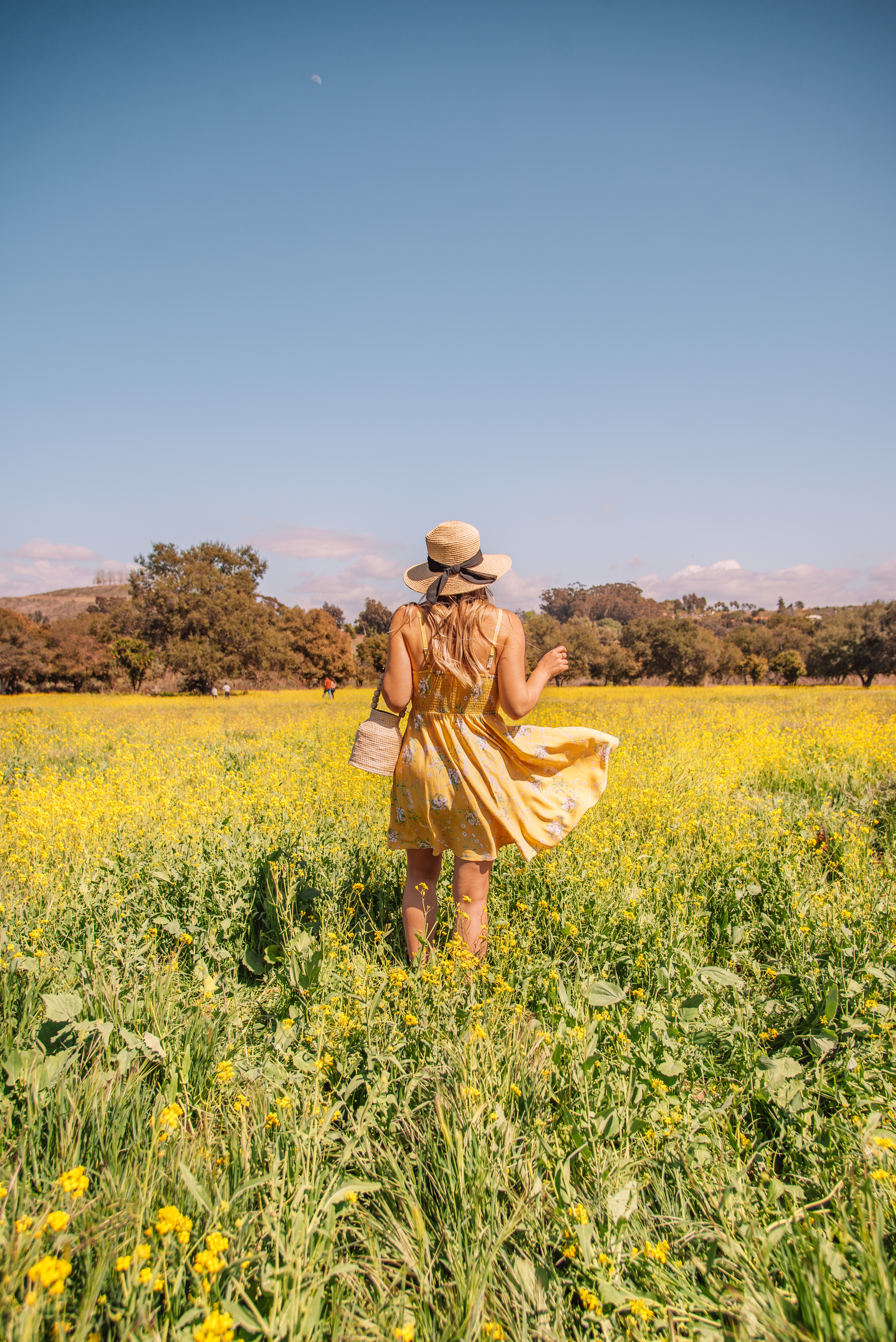 california travel blogger @jennacolgrove shares where to see wildflowers in california