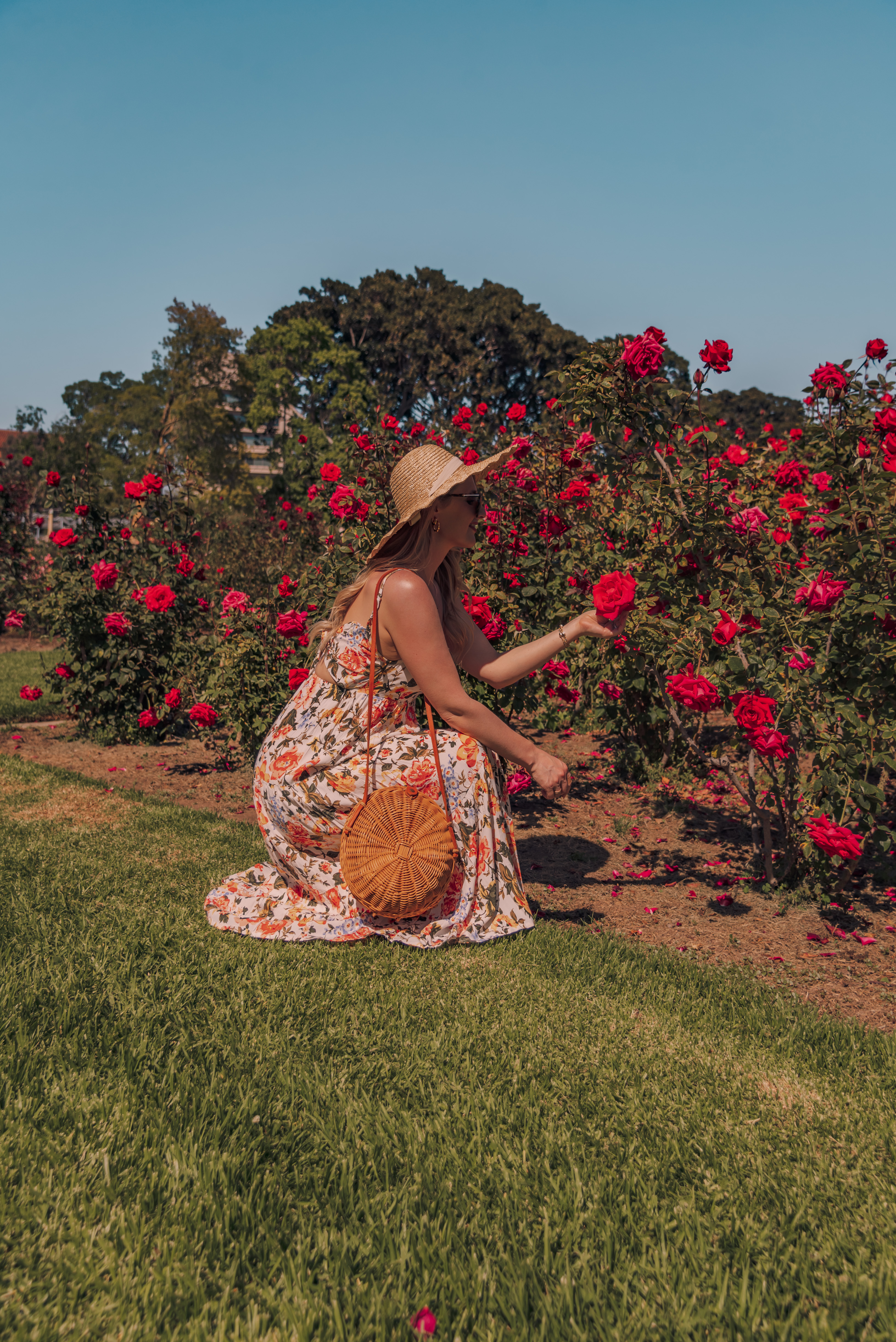 rose garden in los angeles